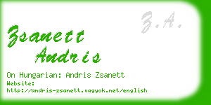 zsanett andris business card